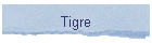 Tigre