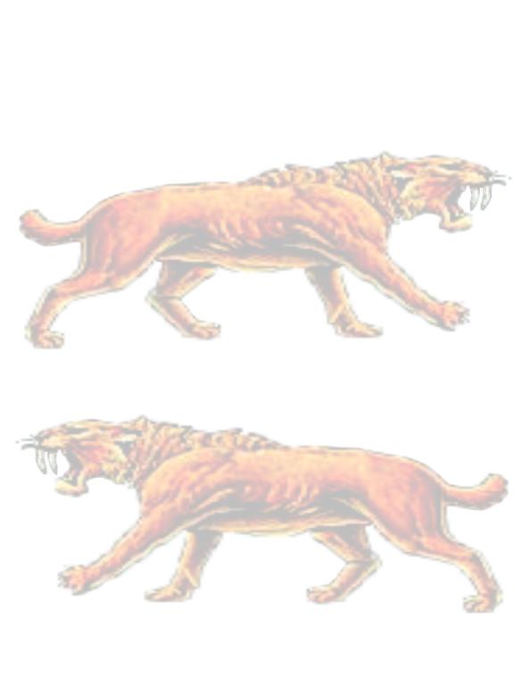 tigre.jpg (23928 bytes)